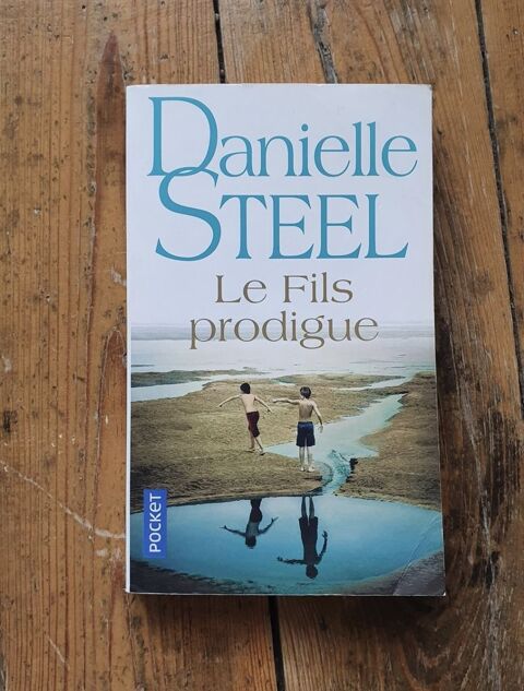 livre Danielle Steel - le fils prodigue 2 Monistrol-sur-Loire (43)