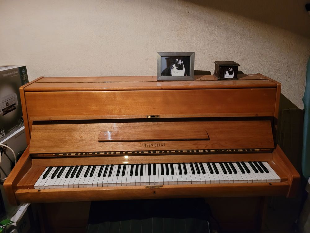 Piano HSINGHAI ann&eacute;e 70 Instruments de musique