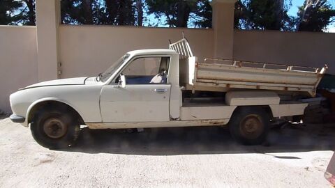 Peugeot 504 D ENTREPRENEUR 1989 occasion Montpeyroux 34150