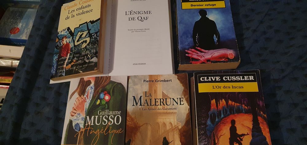 Je suis Audrey Invalide mes livres enf et addu=3e&times;5 Pu�riculture