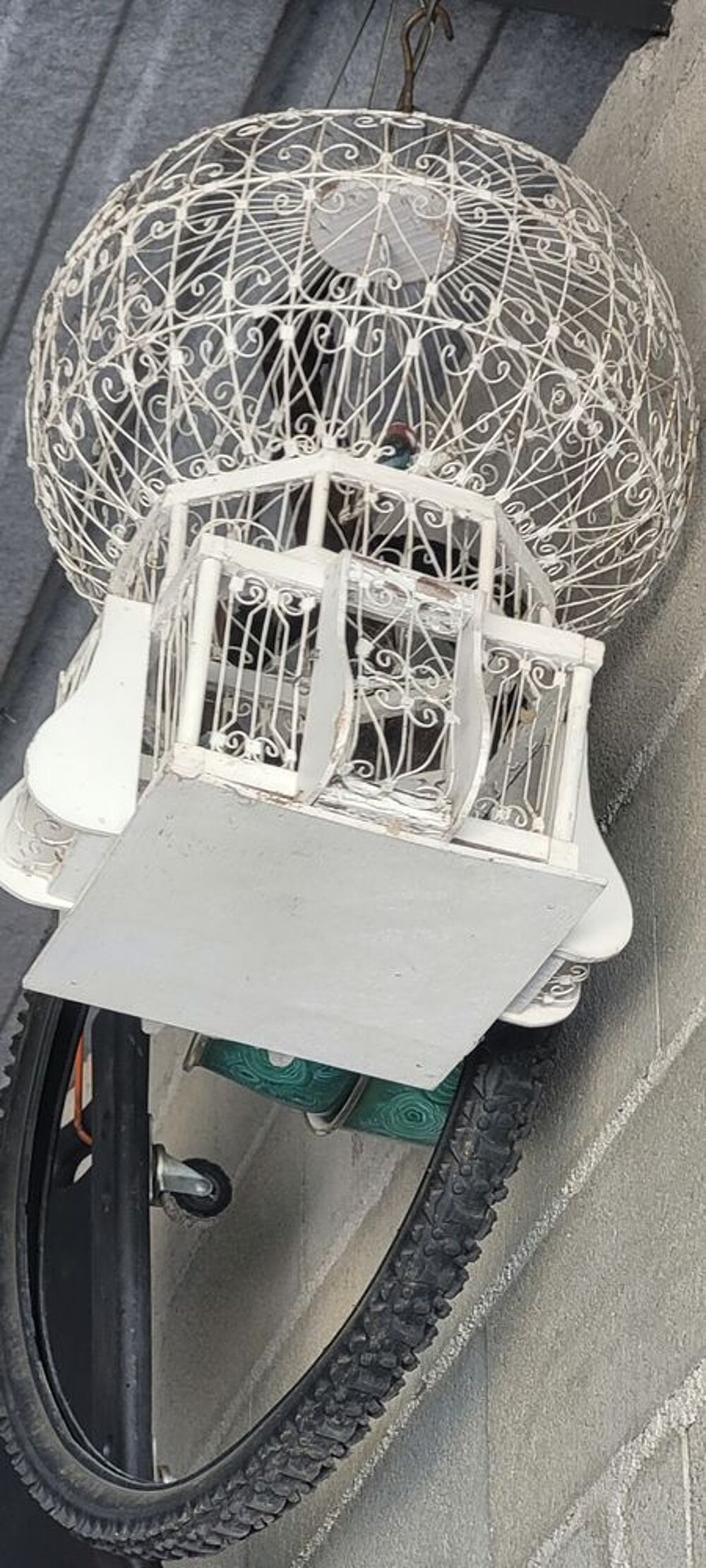 Cage oiseaux Bricolage