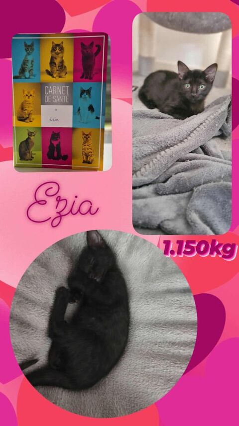 Ezia 230 69150 Dcines-charpieu