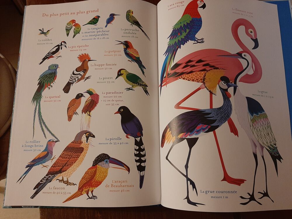 Livre "L'&icirc;le aux Oiseaux" Livres et BD