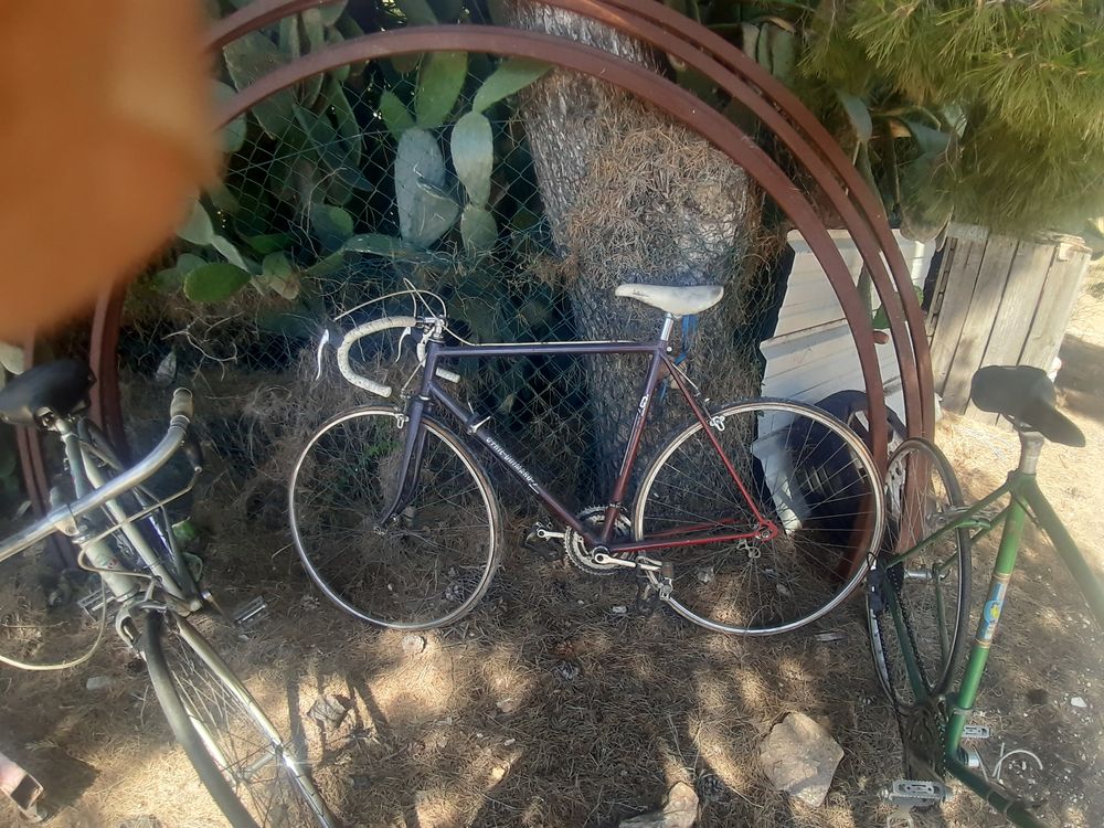 velos de course encien vintage annee 1960 a 1970 Vélos