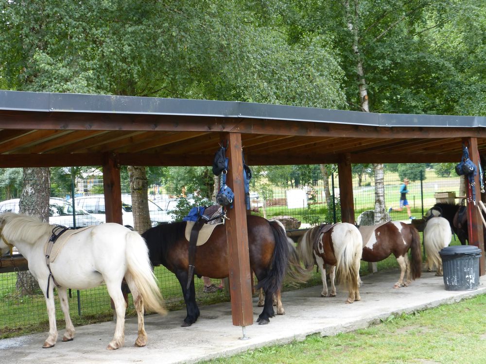   Chalet de vacances Vacances  / Offres de location 