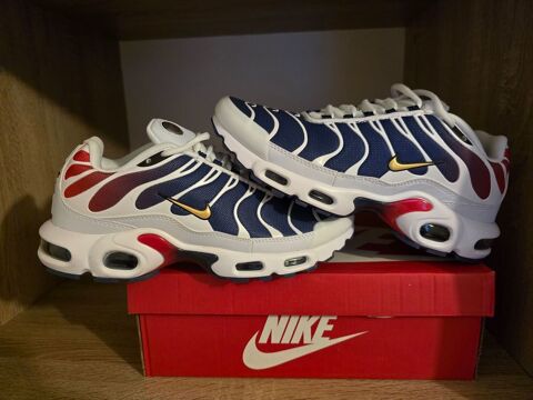 Nike Air Max Plus TN Requin PSG 60 Tours (37)