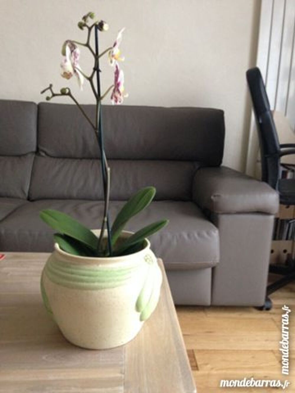 Cache-pot Décoration