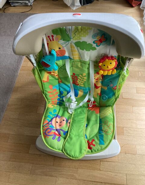 Balancelle Fisher-Price 15 Paris 16 (75)