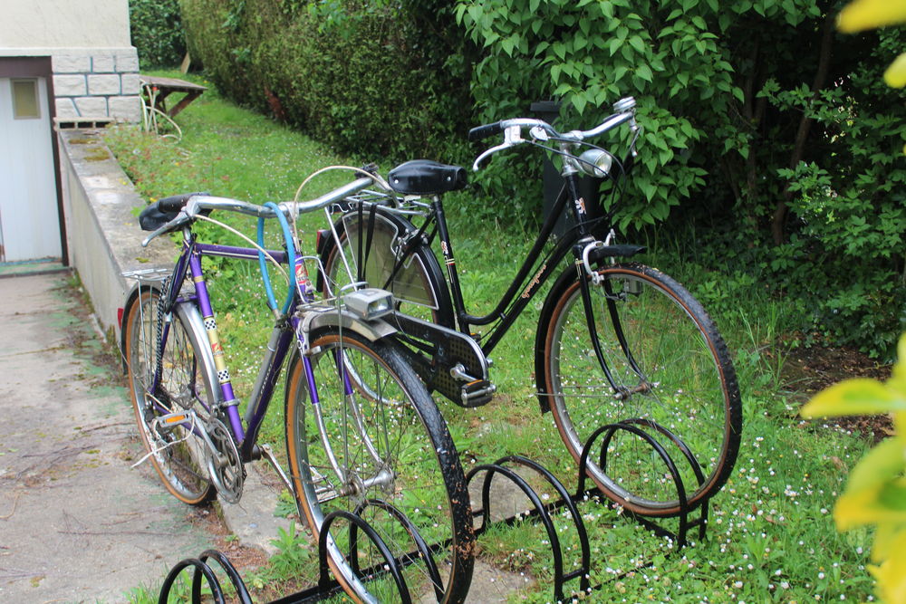 2 v&eacute;los + support ! Vélos