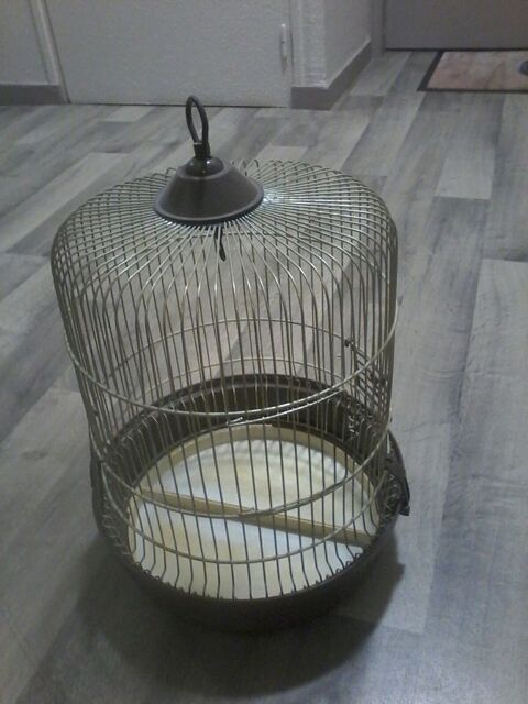 cage a canari 20 Tourcoing (59)