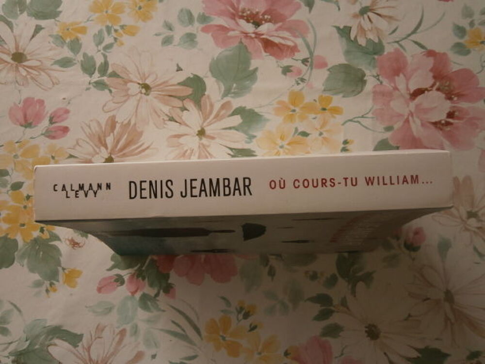 DENIS JEAMBAR "O&ugrave; cours tu William" Livres et BD