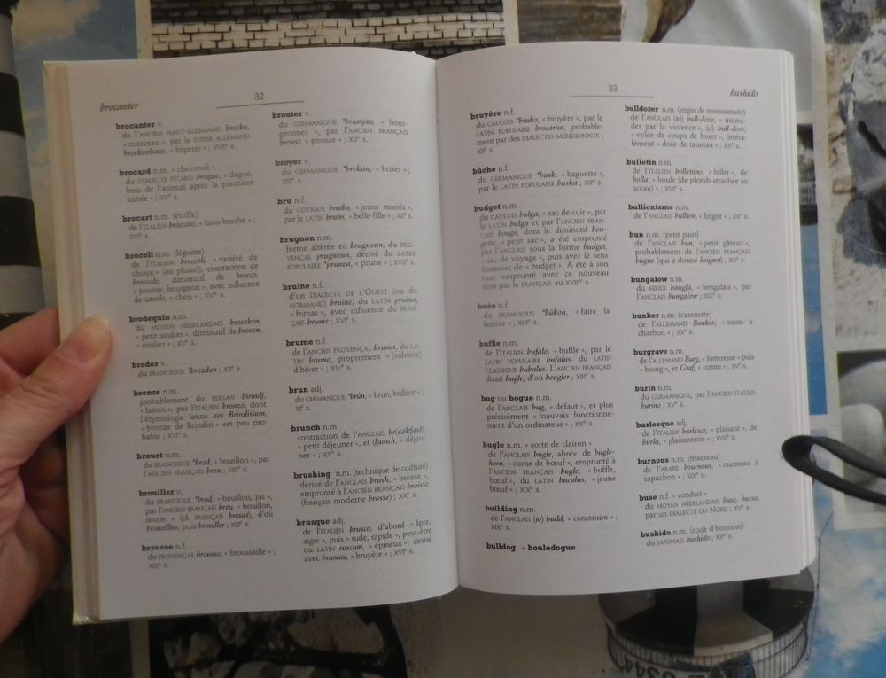 DICTIONNAIRE DES MOTS D'ORIGINE ETRANGERE Ed. Larousse Livres et BD