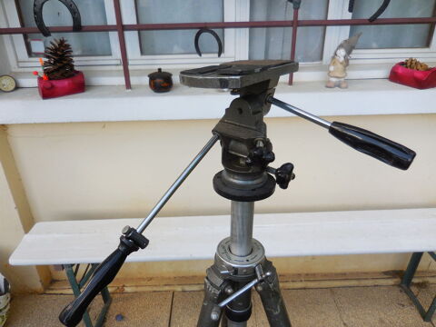 PIED  PHOTO 250 Brin-sur-Seille (54)