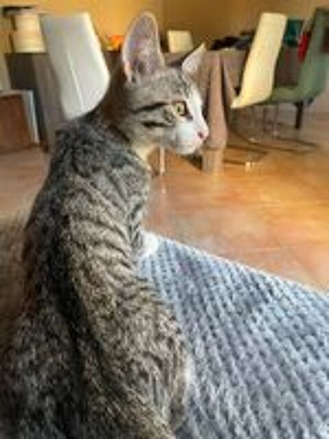   OLYMPE 