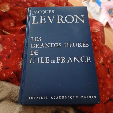 Les Grandes Heures de L'Ile de France 8 �zanville (95)