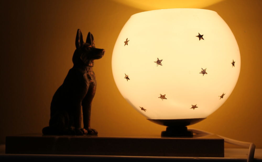 Lampe veilleuse art d&eacute;co Chien de garde sous les &eacute;toiles Décoration