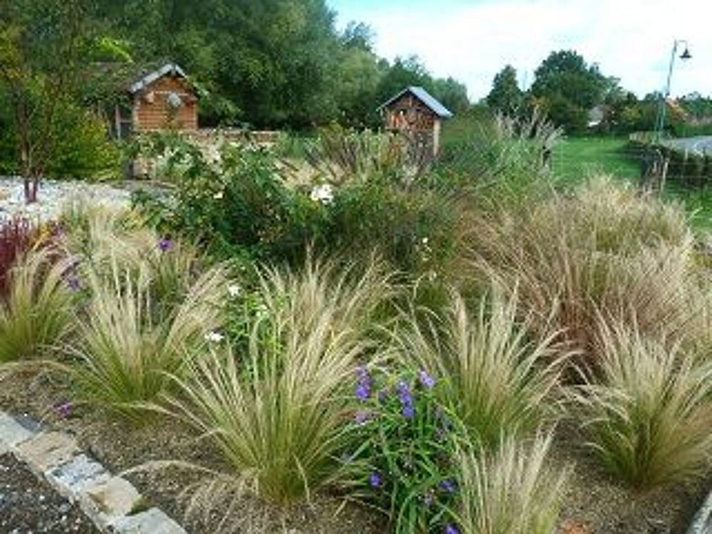 gramin&eacute;es Jardin