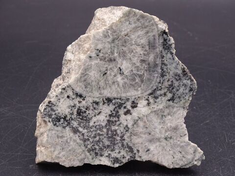 Diorite orbiculaire (Corsite Napolonite) Sainte-Lucie-de-Ta 34 Bertrichamps (54)