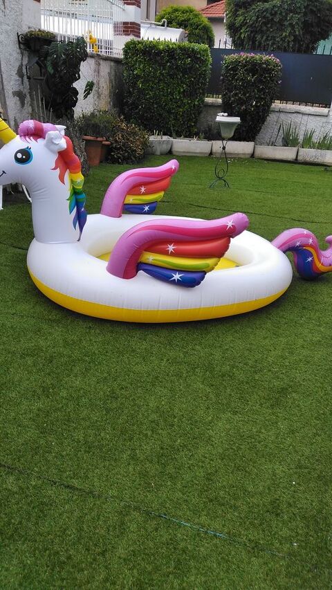 Piscine licorne 20 Flirey (54)