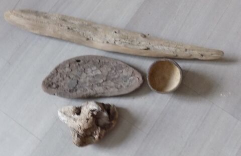 Bois flott� 2 La Motte-d'Aveillans (38)