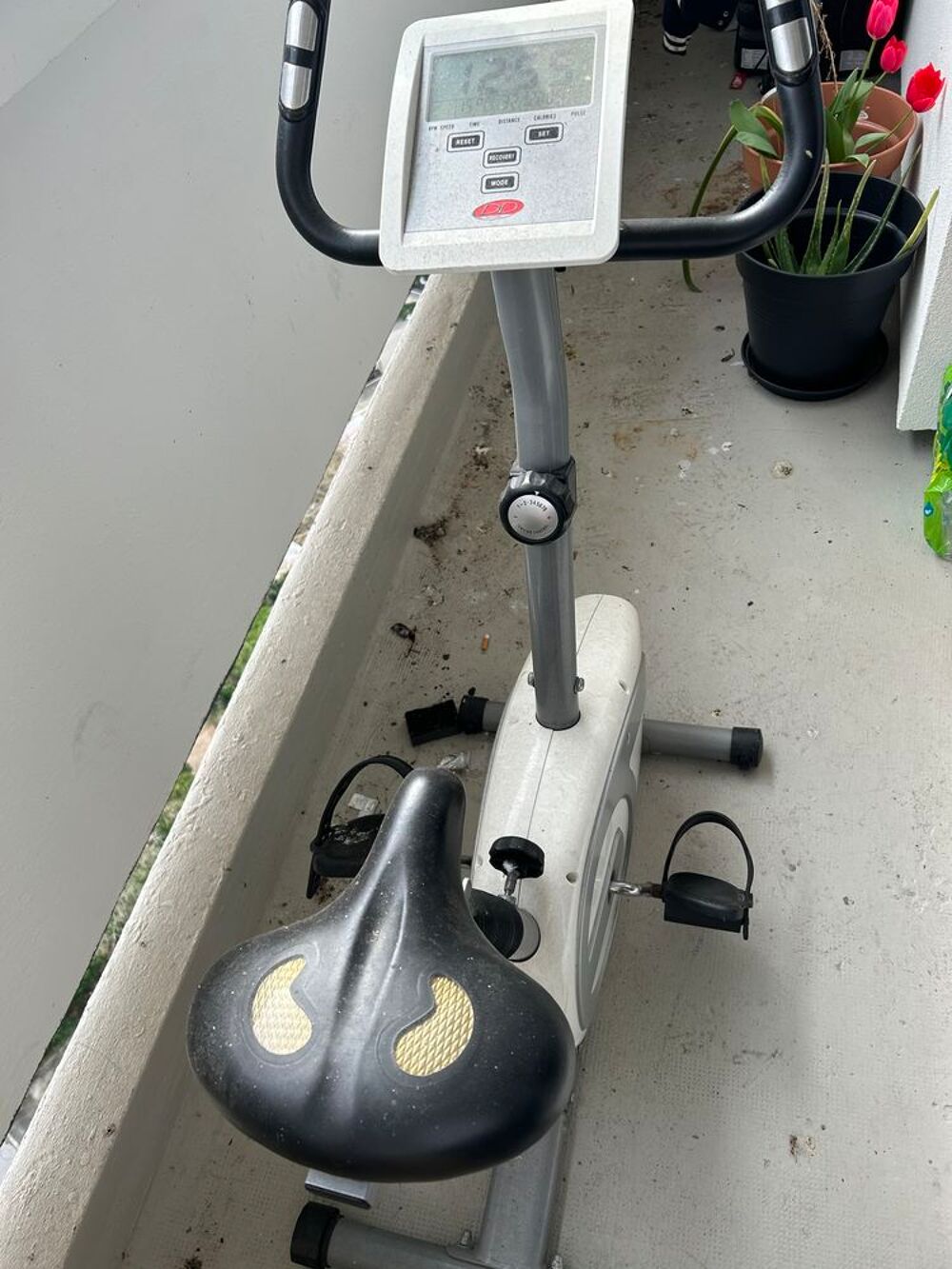V&eacute;lo d'appartement Vélos
