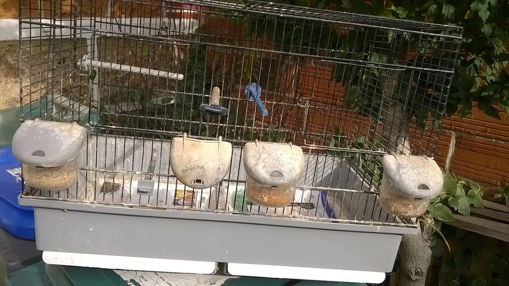   OCCASION; CAGE D'ELEVAGE ZOLUX STYLE COVA 