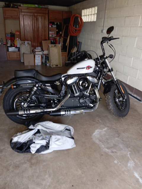 Moto HARLEY-DAVIDSON 2020 occasion Limoges 87000