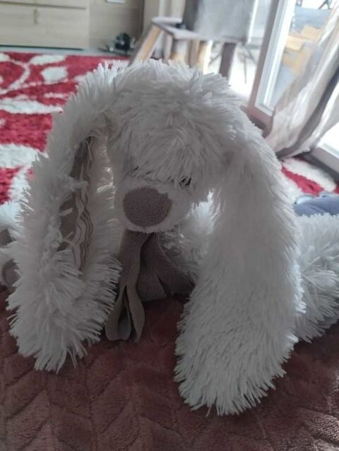 lapin 0 Sathonay-Camp (69)