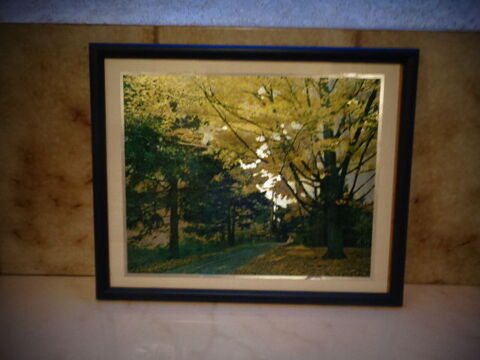 Paysage Automnal-- Cadre photo ? sous verre   5 Roissy-en-Brie (77)