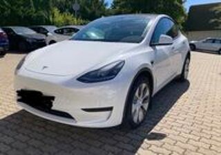 Model Y MODEL Y Standard RWD 2024 occasion 59000 Lille