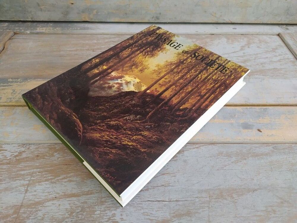 Livre Paysage et Soci&eacute;t&eacute; 1800 -1900 L'&eacute;cole de la nature T5 Livres et BD