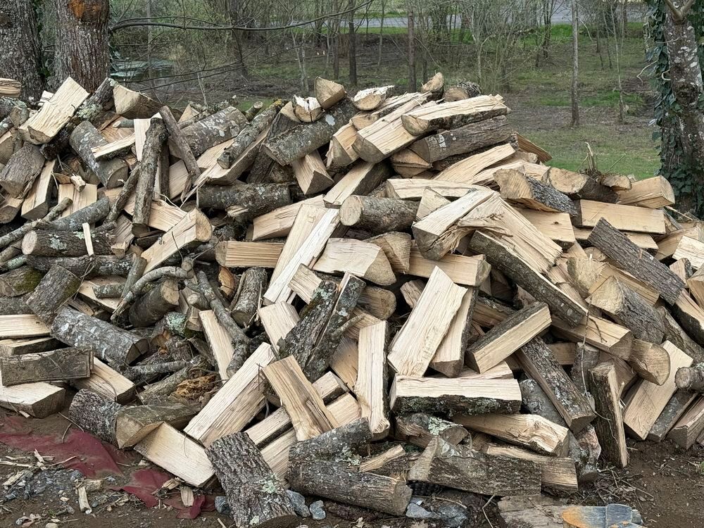   Bois de Chauffage en 50cm 