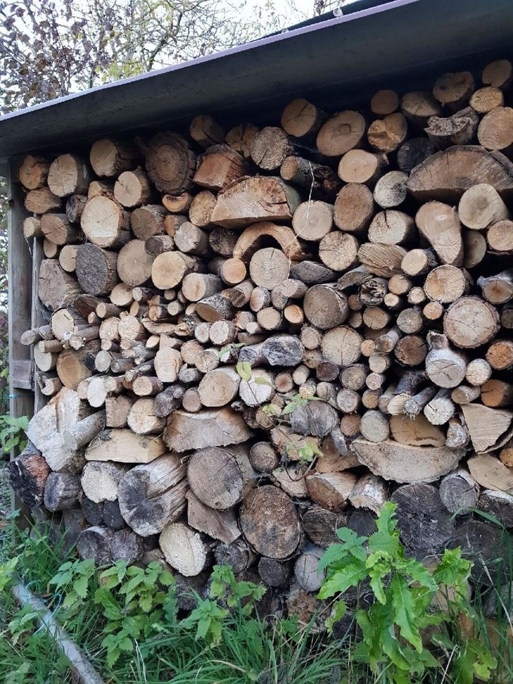 Bois de chauffage en 10 &agrave; 15 cm Bricolage