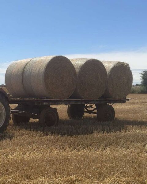 Paille 2025 30 Maignelay-Montigny (60)