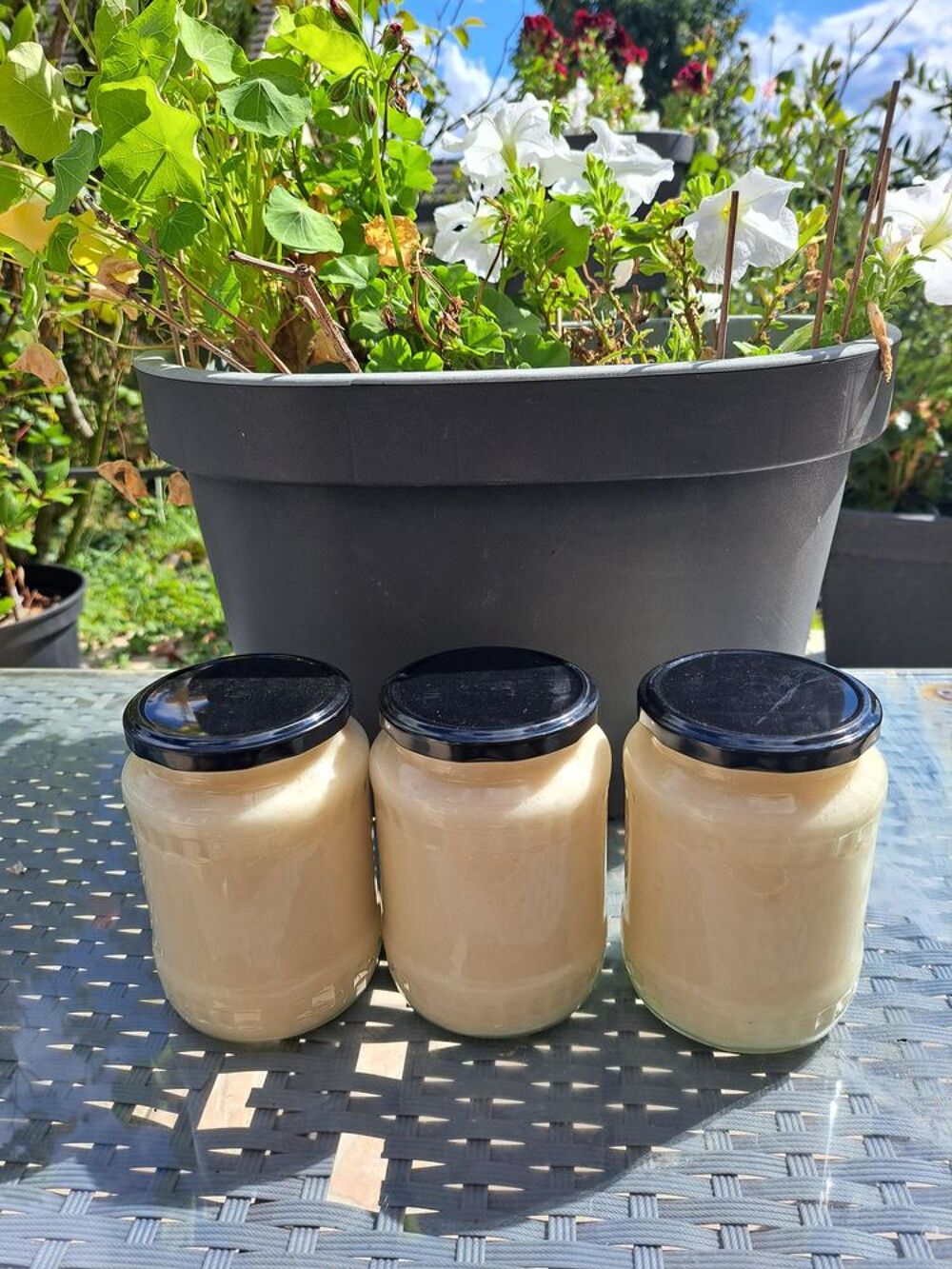 MIEL COLZA POTS 1 KG Jardin