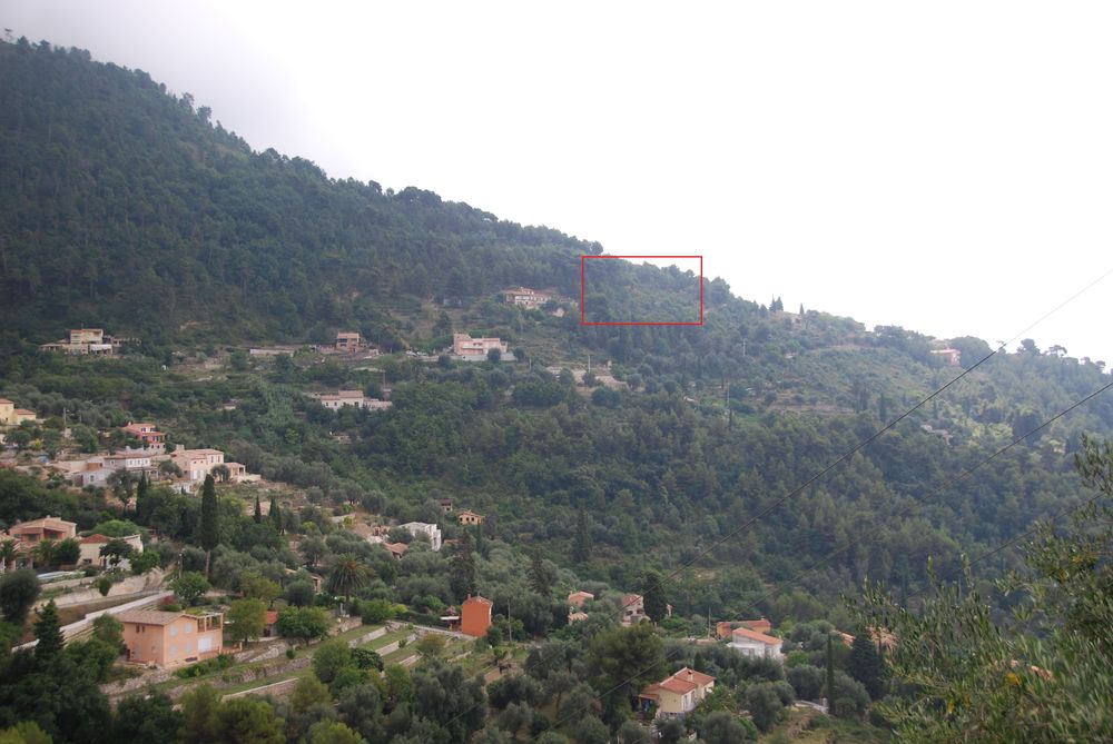 Vente Terrain Castellar ? Terrain 7 527 m² ? Vue panoramique ? Eau & élec Castellar