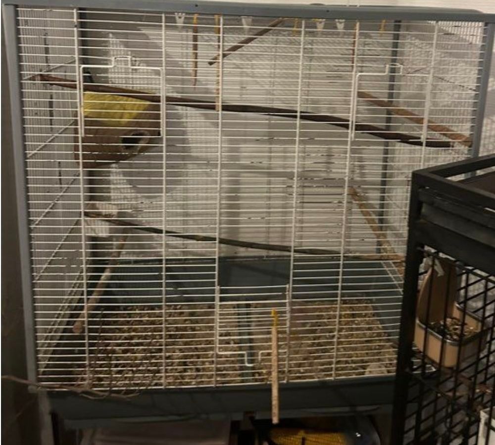 cage oiseaux Meubles