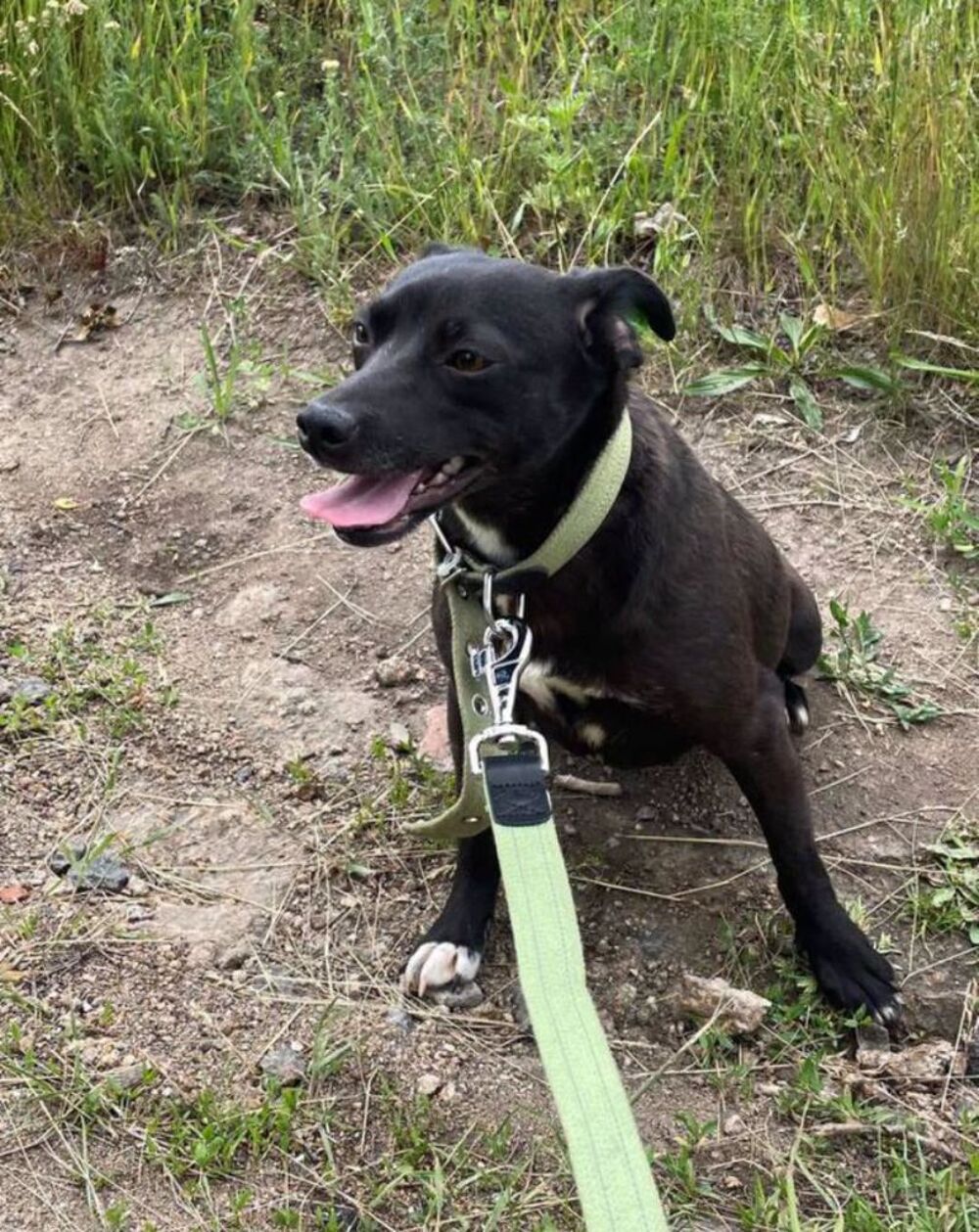   LOLA SE TROUVE DANS UN REFUGE EN UKRAINE 