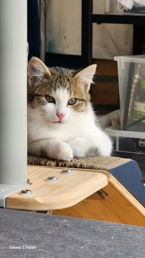 AKIKO 100 27640 Breuilpont