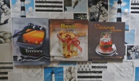 VERRINES / BISCUITS MACARONS MIGNARDISES / TERRINES 12 Bubry (56)