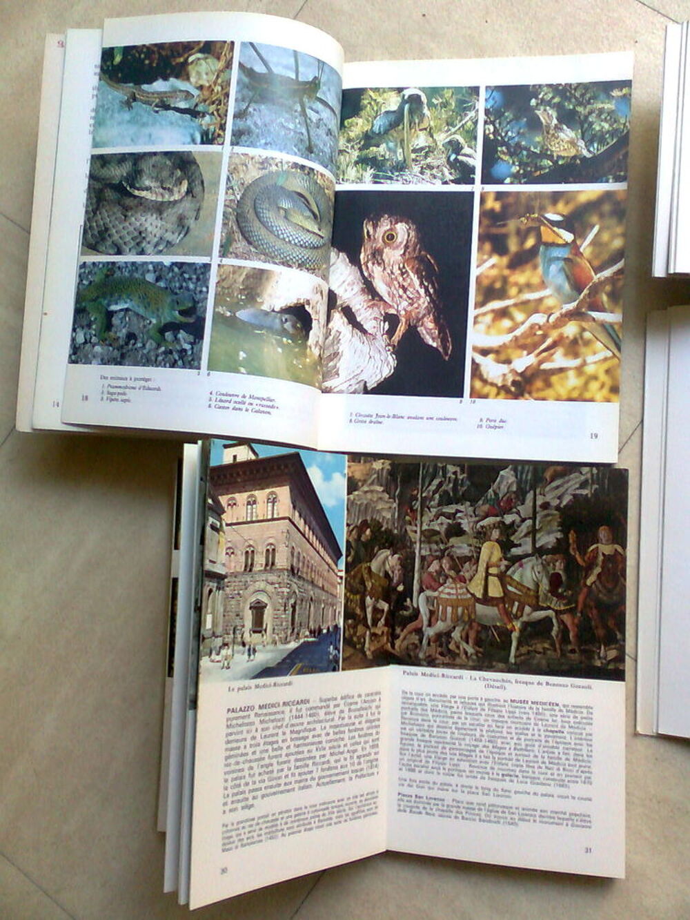 KOUROU, Blois, Fontainebleau .....zoe Livres et BD