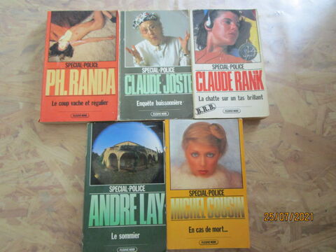 lot de dix livres policiers 3 Chanteloup-en-Brie (77)