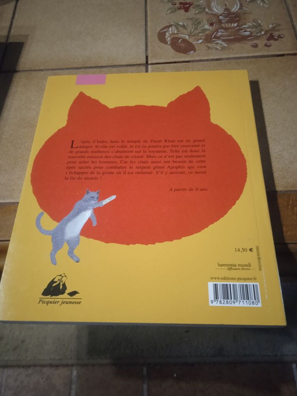 L'&eacute;cole des chats &agrave; Angkor Tome 3 : l'&acirc;me de cristal Livres et BD