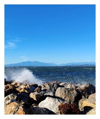 Location  Appartement 