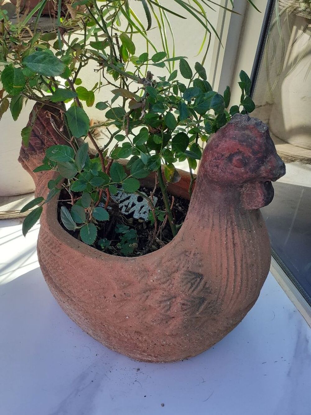 1 bac plante forme Poule avec son rosier Jardin