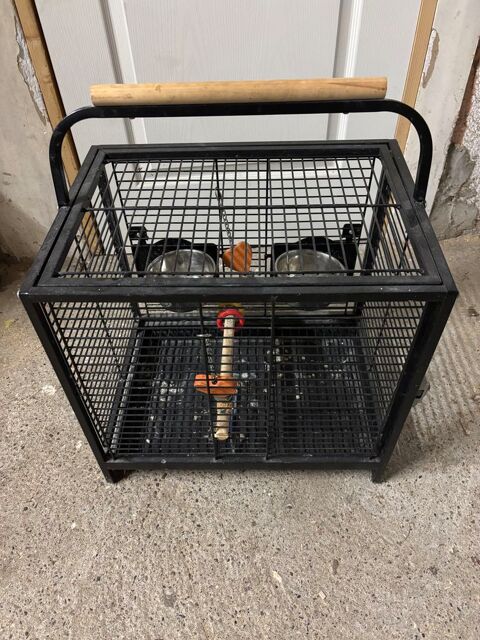 Cage oiseaux / perroquet / perruche 45 11610 Pennautier