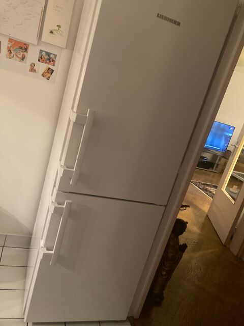 Rfrigrateur conglateur Paris 12 (75)