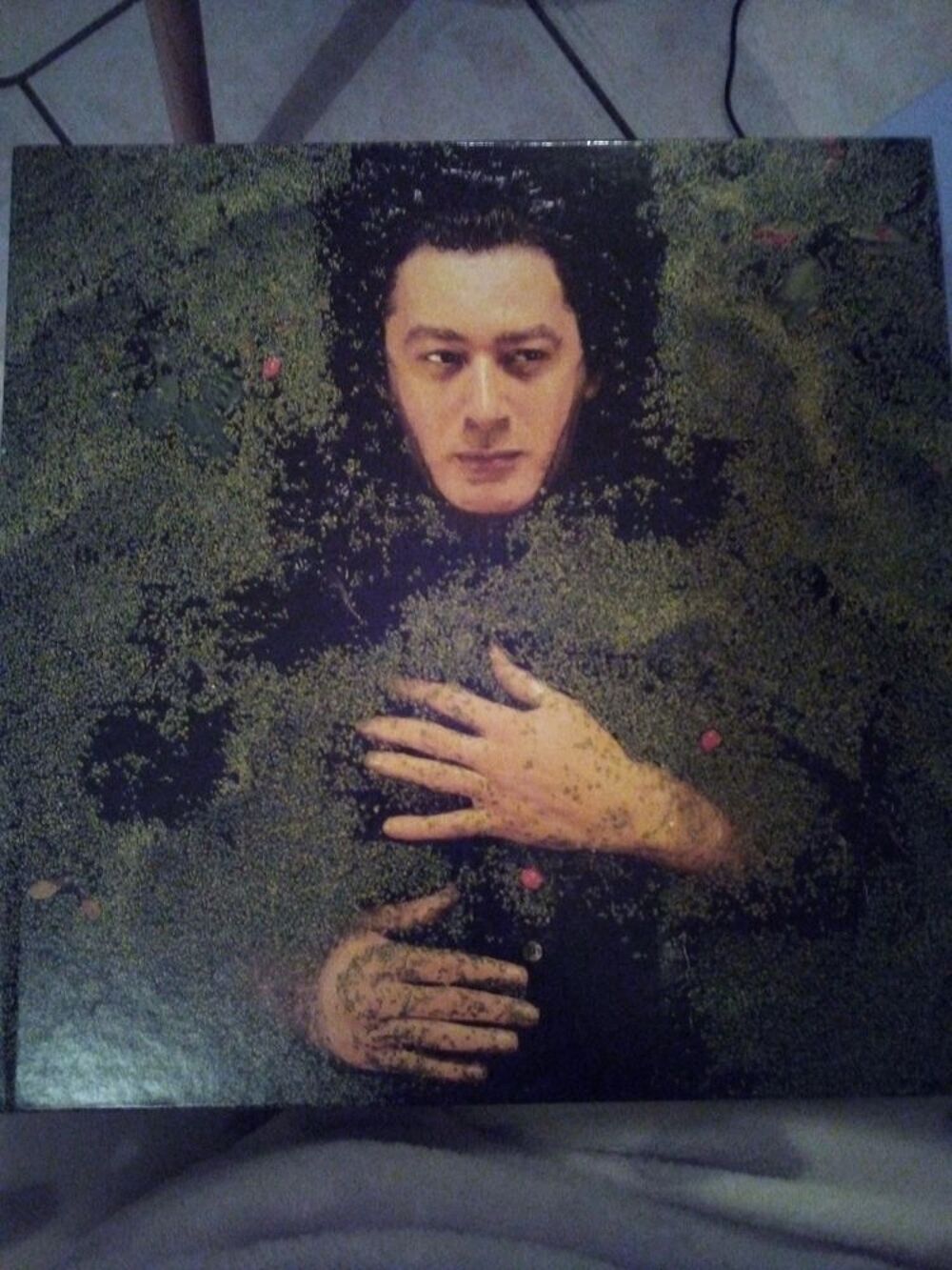 Divers BASHUNG CD et vinyles