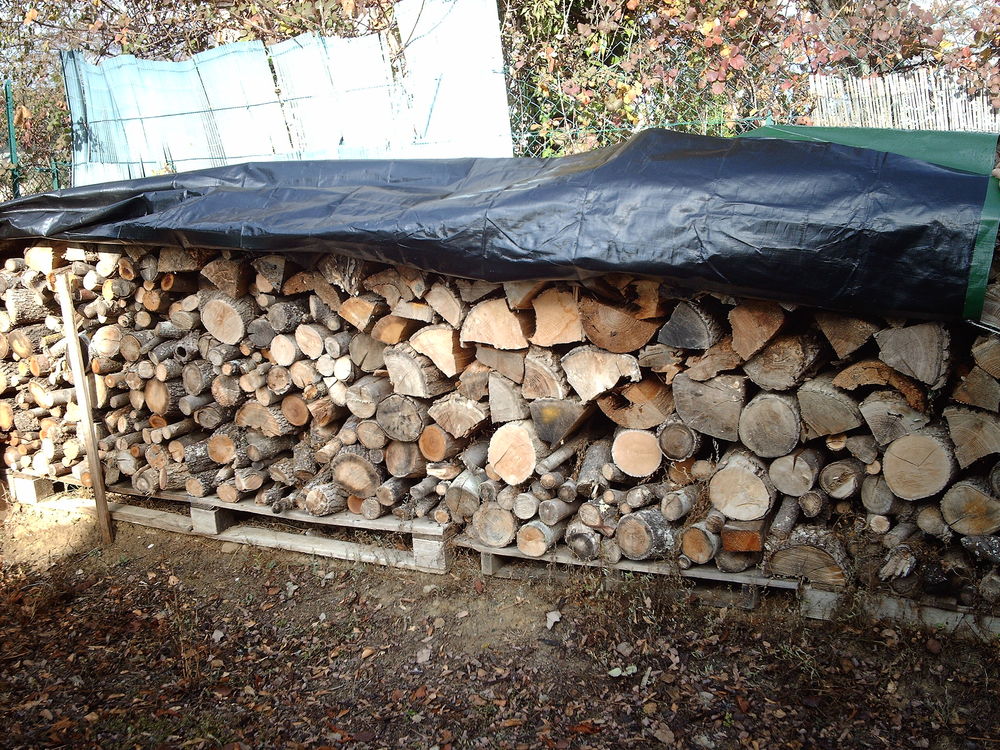 bois de chauffage Jardin