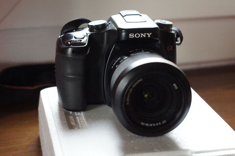 REFLEX ALPHA 100 SONY 140 Hargeville (78)